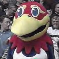 jhawk_@game.jpg
